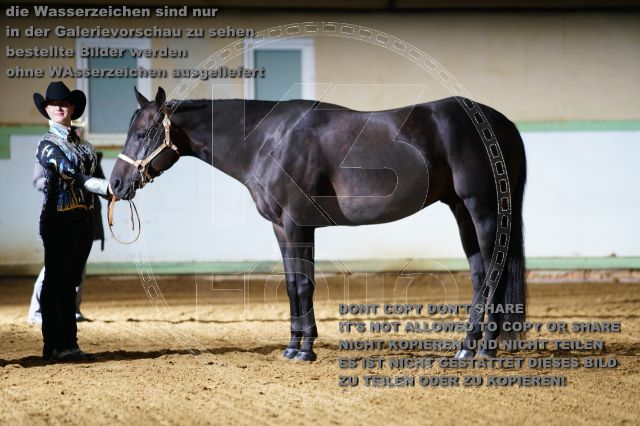 s_K3F08739.JPG